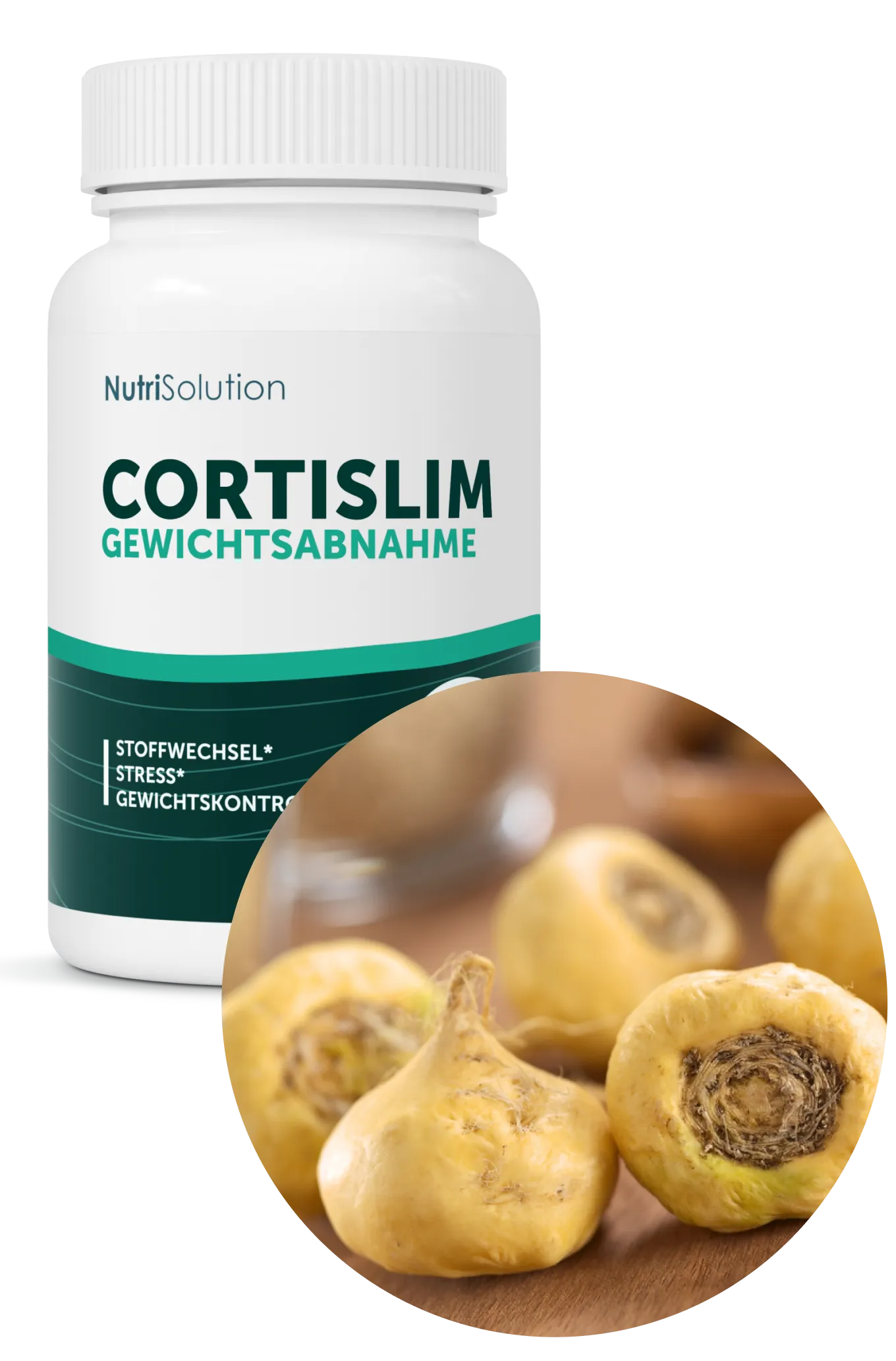 Maca-Wurzel, Inhaltsstoff von CortiSlim